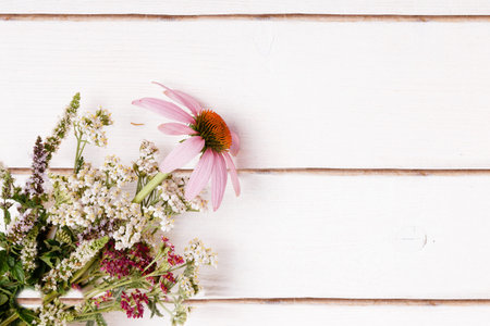 Echinacea, Yarrow, medicinal herbs background, flat lay, top viewの写真素材