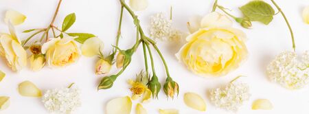 Festive flower composition on the white wooden background. Overhead viewの写真素材
