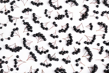 Pattern of chokeberry, black berries on white background,