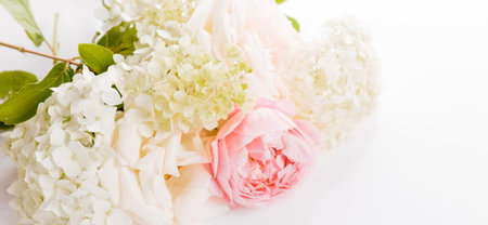 White hydrangea, pink rose flowers panoramic border, banner, wedding romantic background. Flat lay.の写真素材