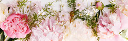 Romantic banner, delicate white peonies flowers close-up. Fragrant pink petals