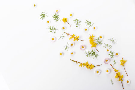 Spring frame of small flowers and daisy, floral arrangement