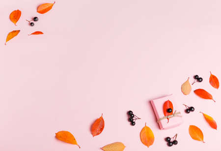 Autumn background made of autumn leaves and berry on pink background.の写真素材