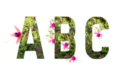Floral alphabet, fuchsia, letters A B C floral, concept of spring, summer