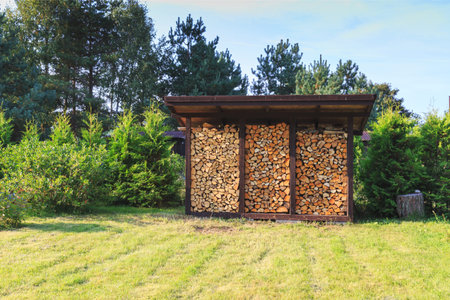 Firewood harvested for heating in winter. A pile of firewood in the courtyard of the house on the...