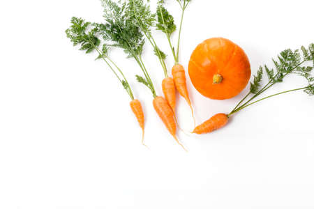 Organic vegetables carrots with leaves and pumpkin isolated on white backgroundの写真素材