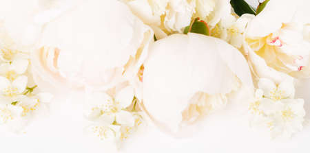 Beautiful aromatic fresh blossoming tender pink peonies texture, close up view. Romantic backgroundの写真素材
