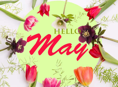 Pink spring flowers on white green background. Hello May wallpaperの写真素材