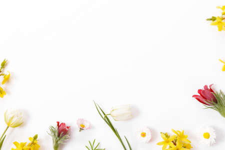 Spring frame of small flowers and daisy, floral arrangementの写真素材