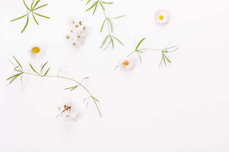 Spring frame of small flowers and daisy, floral arrangementの写真素材