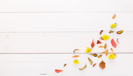 Autumn composition made of autumn dry multi-colored leaves on white wooden background. Autumn, fall...