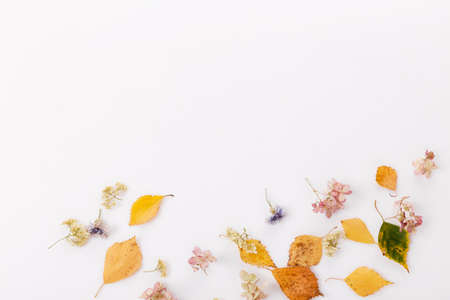 Autumn composition made of autumn dry multi-colored leaves on white wooden background. Autumn, fall concept. Flat lay, top viewの写真素材