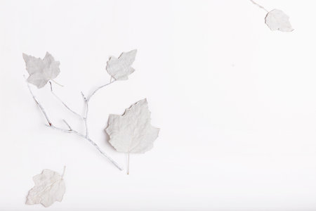 Minimalist Christmas composition in bright colors made of white dry leaves and berries on white...