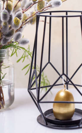 Expanded buds on pussy willow against white backgroundの写真素材