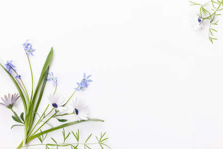 Spring frame of small flowers and daisy, floral arrangementの写真素材