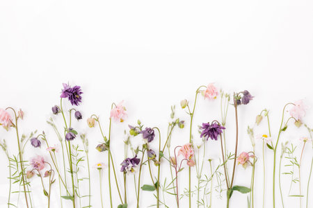Floral pattern with wildflowers, green leaves, branches on white background.