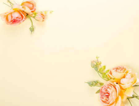 Framework from orange roses on white background.の写真素材