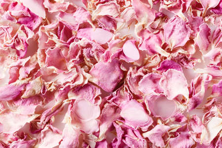 Background made of dried red rose petals isolated on white. Natural herbal cosmetics. Top view.の写真素材
