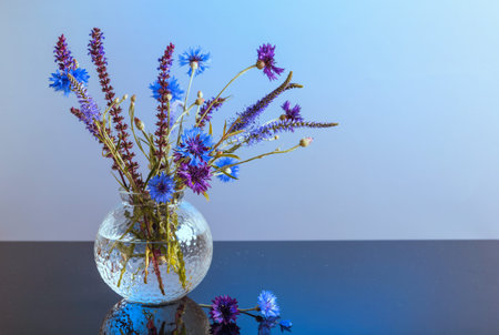 Minimalist photo of blue and purple cornflower flowers with wild herbs in bouquet on table on blue backgroundの写真素材