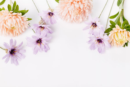 Autumn frame of dusty aster and dry blue flowers, floral composition isolated on white background....
