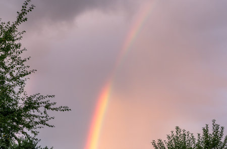 Close up view of rainbow in cloudy evening summer sky.の写真素材