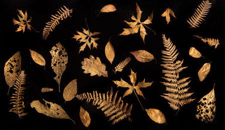 Beautiful flying sparkling golden leaves on a black background, creative natural layout, horizontal