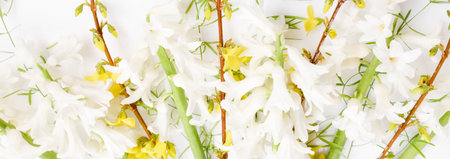 Spring banner of small flowers and hyacinths, floral arrangementの写真素材