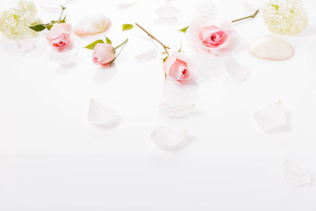 Festive flower composition on white background. Overhead viewの写真素材