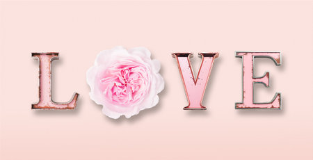 Silver pink letters love on a trendy pink background. Happy Valentines Day, Mothers Day, March 8thの写真素材
