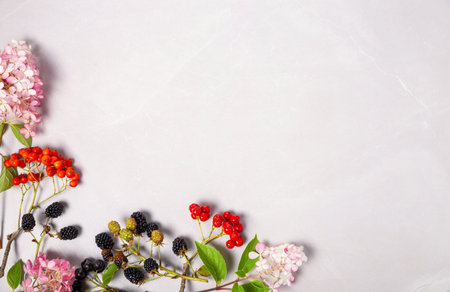 Autumn composition with hydrangea flowers, berries of aronia, rowan, blackberry, rose hips on grey marble background. Flat lay, copy space. Concept of autumn harvest, Thanksgiving, fall seasonの写真素材