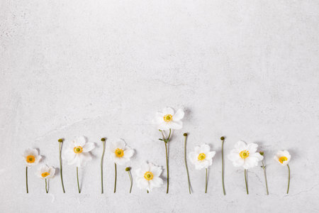 Minimalist floral arrangement with white anemones on concrete background. For romantic themes, wedding decor, botanical designs, spring marketing, cards, eco branding, natural cosmetics, beauty adsの写真素材