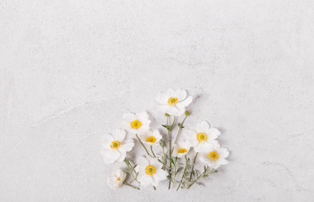 Minimal flat lay with white anemone flowers on light background. For spring holidays, Mothers Day, 8...