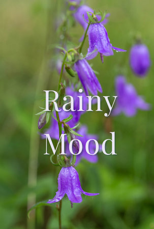 Rainy Mood Vertical Floral Photo with White Poetic Text and Bellflowersの写真素材