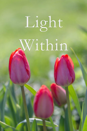 Red tulips in sunlight, soft green blurred background, vertical format, inspiring floral poster with elegant serif text Light Within, nature concept for wellness, print designの写真素材