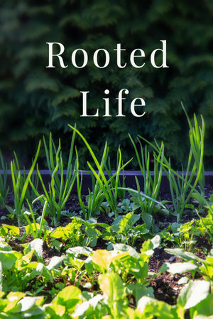 Vertical banner with green onion leaves and leafy greens growing in garden bed on background of evergreen hedge, conceptual text Rooted Life, spring gardening, nature inspirationの写真素材