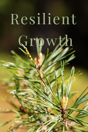 Macro photo of young pine tree branch with bright green needles and new growth on soft forest background, spring natural renewal concept, vertical botanical texture for nature themes and eco brandingの写真素材