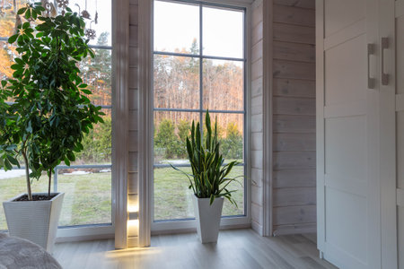 Bright interior with tall houseplants in white planters near panoramic windows, wooden walls and wardrobe, cozy natural light. Perfect for eco interior blogs, design concepts, and green living themes.の写真素材