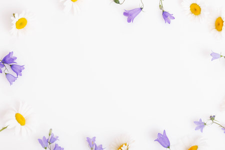 Fresh summer floral frame with daisies and bellflowers on white background, minimalistic botanical design for natural cosmetics eco packaging holiday postcard greeting templateの写真素材