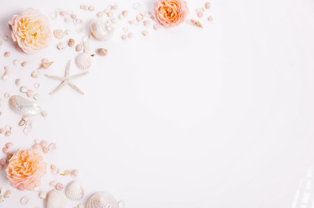 Summer beach flat lay with seashells, starfish, coral roses, soft shadows, white background, copy space, romantic vacation postcard, ocean themed decor, natural coastal style, minimal compositionの写真素材