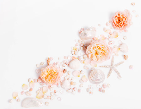 Vertical summer composition with shells, starfish, coral roses, white background, floral marine postcard, pastel beach mood, tropical vacation layout, romantic minimal flat lay, copy spaceの写真素材