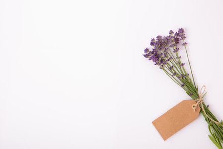 Lavender bouquet with blank kraft tag on white background, minimal composition with copy space, spa branding, natural cosmetics, herbal packaging, wellness promotion, handmade gift designの写真素材