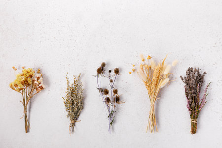 Panoramic banner with bundles of dried flowers on light background, rustic botanical composition, natural decoration for eco product design, organic lifestyle branding, seasonal wedding templateの写真素材