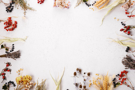 Panoramic floral frame with dried flowers, herbs, berries and wheat on light background, autumn fall botanical border, natural decoration for seasonal greeting card, eco product design, rustic templateの写真素材