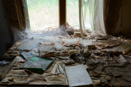 POHONNOYE, BELARUS - JULY 4, 2020: Devastation in premises of former veterinary laboratory in resettled village of Pohonnoye in exclusion zone of Chernobyl nuclear power plant, Belarusのeditorial素材