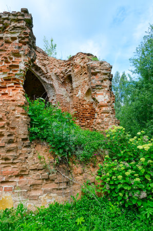 Ruins of Church of St. Peter and Paul in village of Vyshov, Mogilev region, Belarus. Summer rural landscape. Arched opening overgrown with grassの写真素材