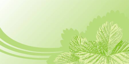 background with strawberry leavesのイラスト素材