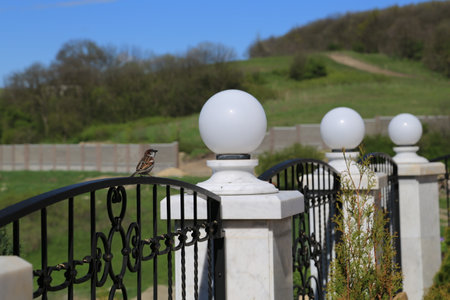 Beautiful nature, view of the mountain.の写真素材