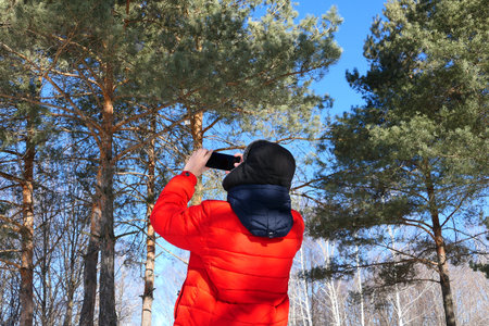 Man and nature. A young man in winter in bright clothes takes photos in nature. Coniferous forest...