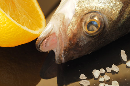 Sea bass fish. Closeup of a fish head and a fish eye. . High quality photo