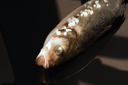 Fresh Sea bass fish close-up, isolated, close-up. High quality photo